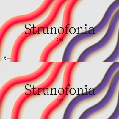 Strunofonia 3.0 in Hashtag Lab - Installation and Concert